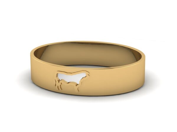 Bull Bangle